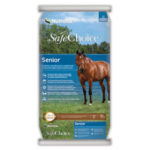 safechoice-senior