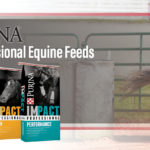 Kissimmee Valley Feed_Purina Impact Professional Feeds_Slider