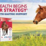 KVF_New Look Purina Strategy_Slider