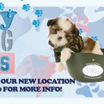 KVF_puppy training Classes_Slider