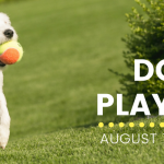 Doggy Play Day Slider – KVF