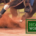 KVF Horse Owners Workshop