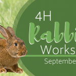 4H Rabbit Workshop Slider (1)