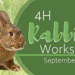 4H Rabbit Workshop Slider