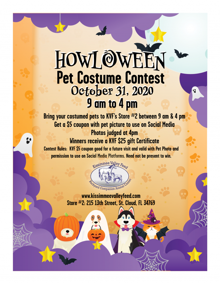 Halloween Pet Costume Contest Kissimmee Valley Feed