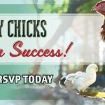 KVF_Raising Baby Chicks Seminar_Slider