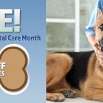 KVF_Pet Dental Month Specials_Slider