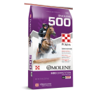 Purina-Omolene-500-Competition-450