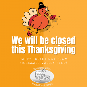 Closed for Thanksgiving