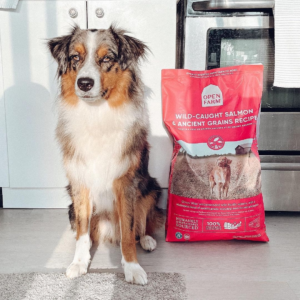 Dog with a big of Open Farm kibble