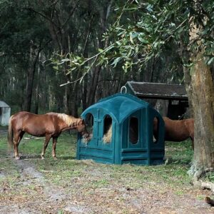 Two horses feeding from a Hayhut