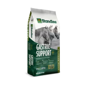 bag of Standlee Feed Forage Plus Gastric Support